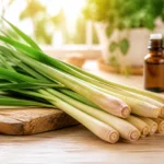Citronnelle fraiche et huile essentielle