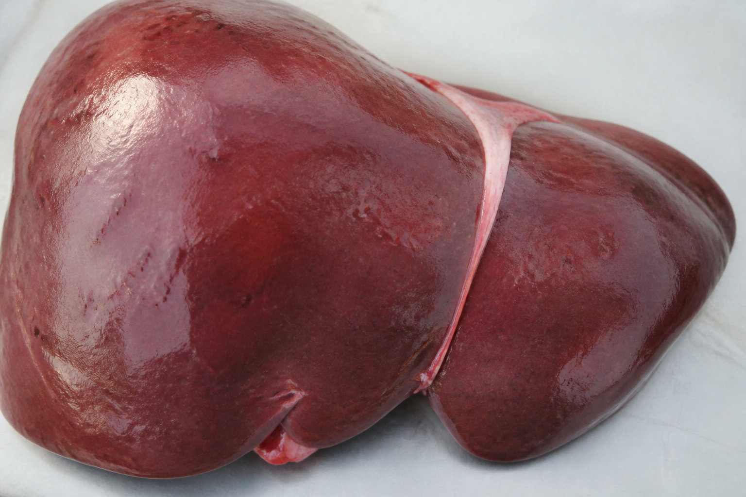 Pourquoi le foie est-il la cible principale de l'intoxication ?